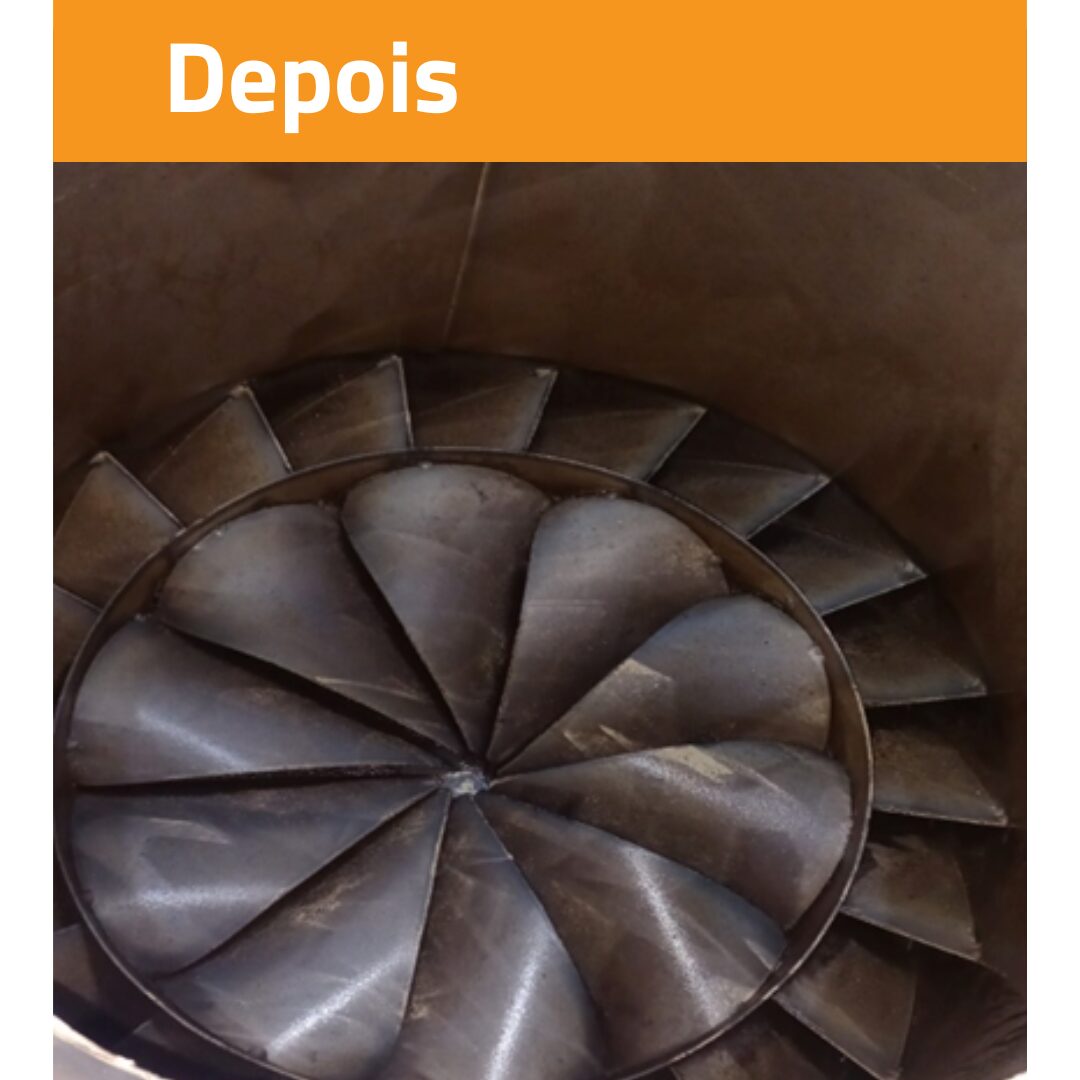 DEPOIS PÁS